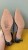 Skórzane czółenka Shoe The Bear z kryształkami – eleganckie buty damskie – zdjęcie 10