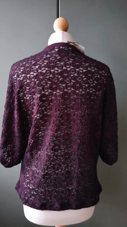 Kaffe – kort ærmet blondebluse til kvinder, elegant premium blondebluse – billede 4